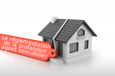 Illustration formation sur la Réglementation de la profession d'agent immobilier (loi Hoguet)